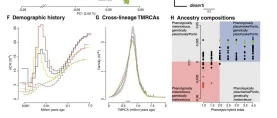 【<em>重</em>测序】单基因ASIP变异控制鸣禽的羽毛<em>颜色</em>演化