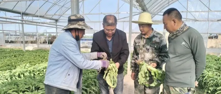 甘州区科学技术局：人才引育助推乡村振兴