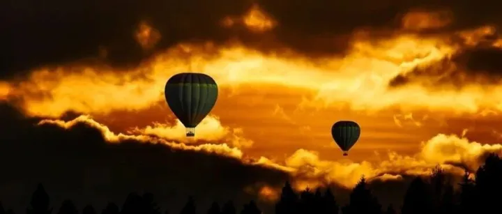 约定的违约金金额过高，法院能否参照定金金额予以调整？