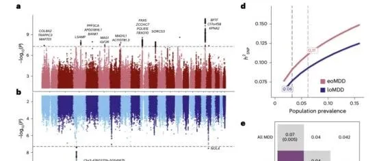 【全基因组关联(GWAS)】早发性与晚发性抑郁症GWAS