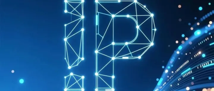 IP地址大揭秘：静态VS动态，你的网络身份卡如何选？