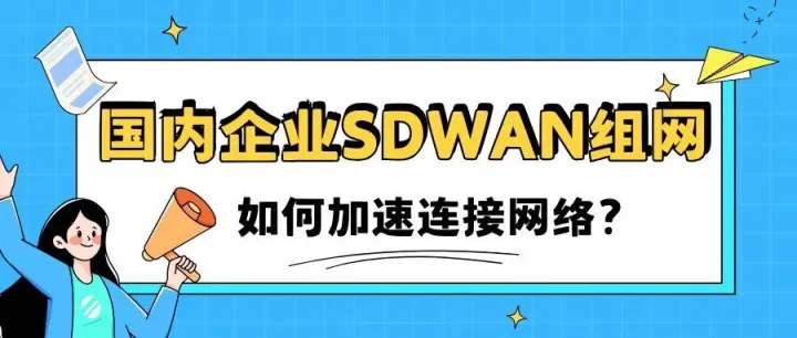 国内企业SDWAN组网：如何加速连接网络？