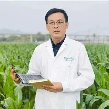 隆平生物技术（海南）有限公司创始人、总经理吕玉平：扎根“南繁硅谷” 用“基因密码”筑牢中国种业脊梁