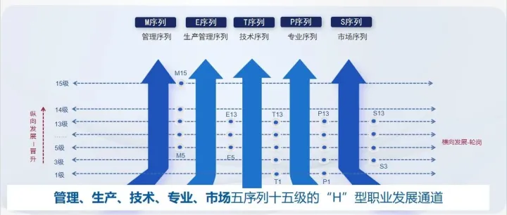 福建某电力设计院招聘岗位（上市公司）