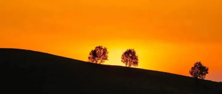 亚马逊定期开发票应该怎么开？