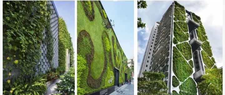 新刊抢先看 | 夏热冬冷地区建筑绿化对建筑能耗的影响研究