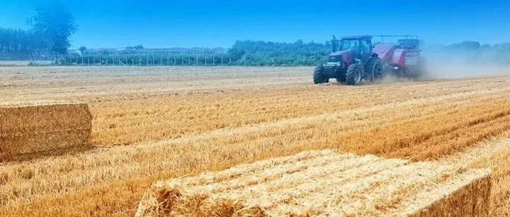 新华社权威速览·非凡“十四五”丨“农业强国”建设 取得这些新进展！