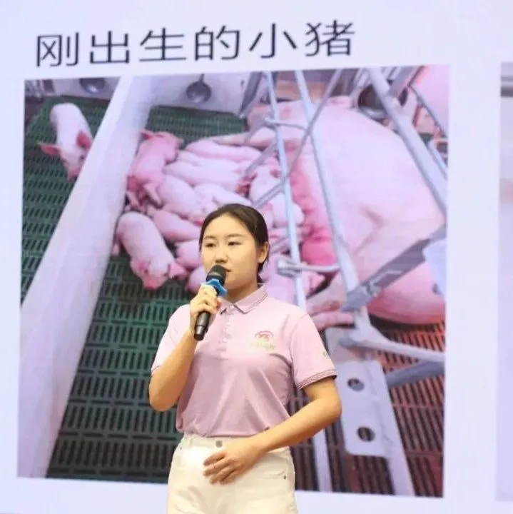 倾听永新故事|“牧业先锋 强企有我”主题演讲比赛优秀作品展播（五）