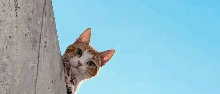 销量下滑了应该怎么办？