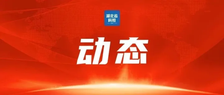 2025年10月全省科技融资担保体系建设情况通报