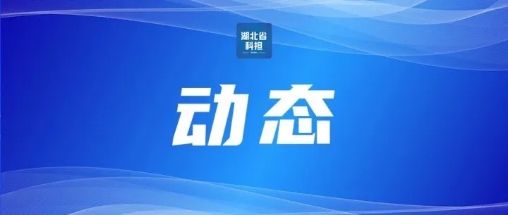 武汉市融资担保联合体正式揭牌