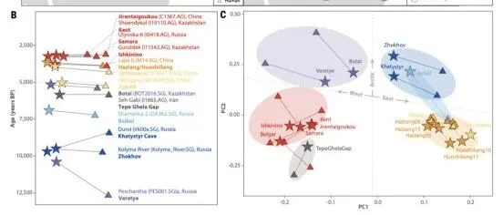 【古基因组】全新世东欧亚犬与人类共迁研究