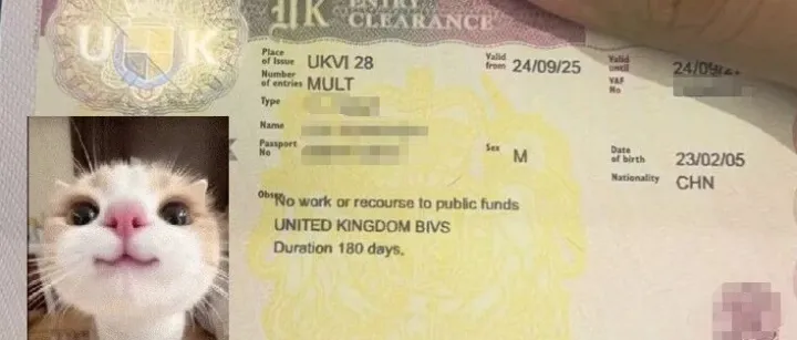 DIY 英国签证被拒怎么办？经过我们的专业助力，帮客户逆袭，成功跟上家人的赴英脚步！