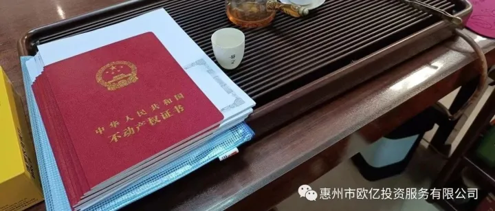 园洲多块有证住宅地出售