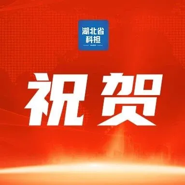 祝贺！省科担公司两名员工荣获湖北省融资担保业协会“优秀担保员工”称号