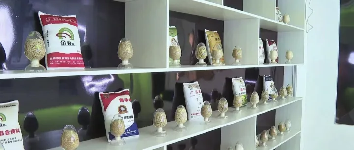 甘州：科技赋能饲料产业  助力畜牧业提质增效