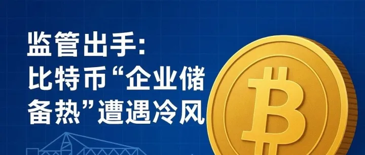 从持币到造血：监管重塑DAT公司价值逻辑