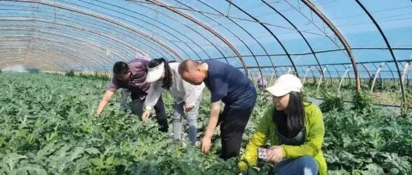 甘州：科技<em>赋</em><em>能</em>乡村<em>全面</em>振兴