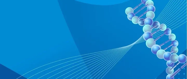 技术突破：荧光探针关键技术解析与优化实践