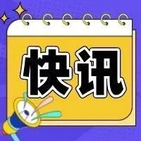 协助财务造假！一审判刑五年！