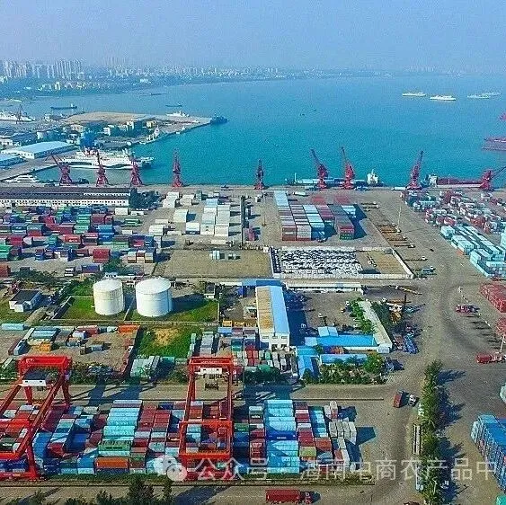 中共海南省委办公厅  海南省人民政府办公厅关于打造新质生产力重要实践地的意见