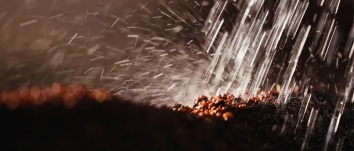 茅台，有自己的“算法”