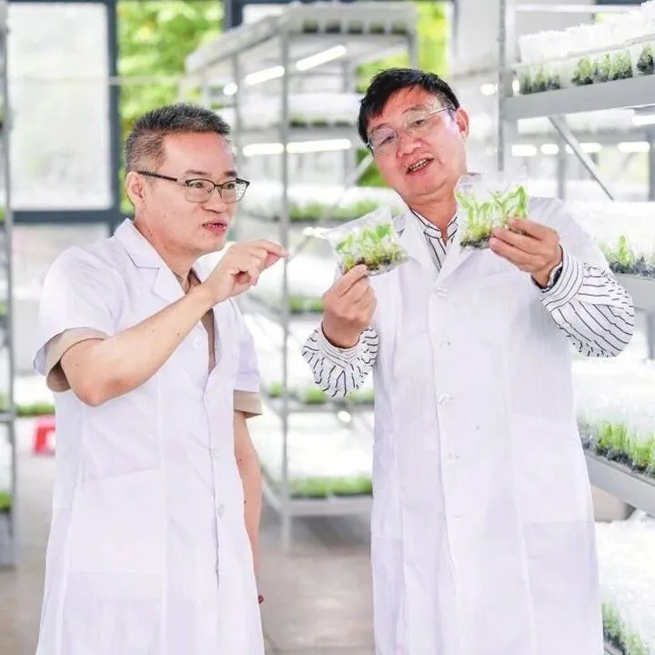 科技“金钥匙”打开“致富门”！海口做强做优热带特色高效农业