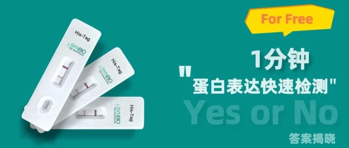 限量领取 | 泓迅生物ProXpress蛋白快速检测卡，1分钟验证蛋白表达