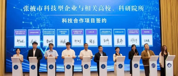 甘州：构建全域创新体系  激活发展新动能