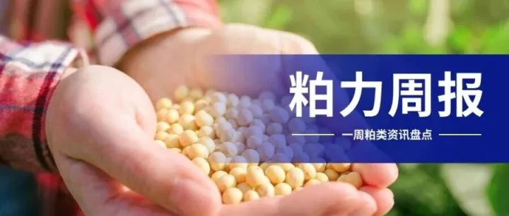 双重冲击：1200万吨美豆采购与阿根廷豆粕如何改写国内供应版图