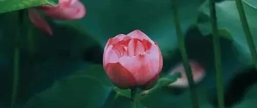 “银行<em>存款</em>”<em>怎么</em>说？难道是“bankmoney”?