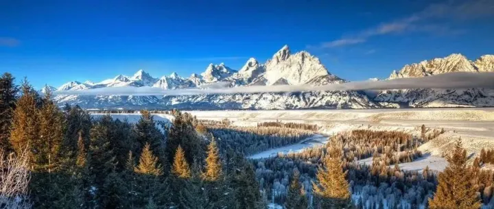 一文回顾全136期睿捷期权专题分享会