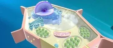 “问题本身也是教材”：日本理科老师如何用一张图片训练判断力？