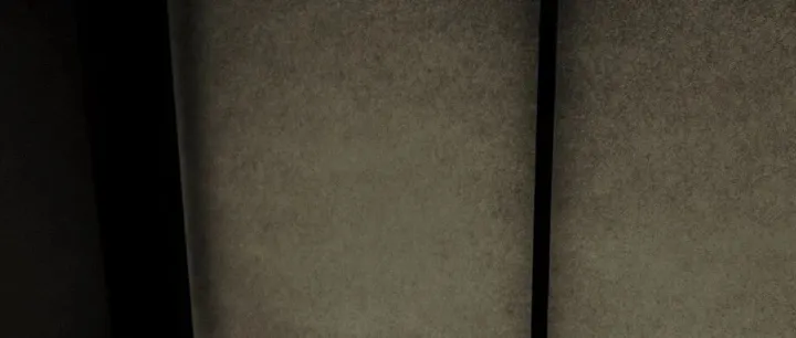 东方禅意美学 | Paul Cupido摄影作品