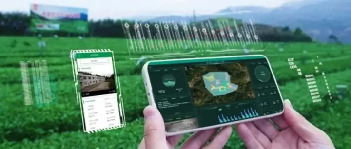 港股 “茶茅” 横空出世！八马茶业上市狂揽热度，双码溯源 + 智能生产改写茶行业 “有品类无品牌”困局