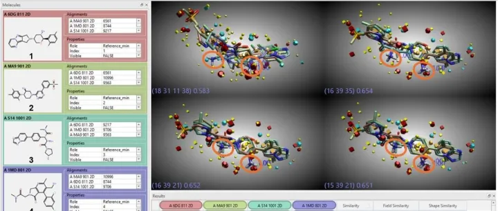 在缺乏靶标结构信息的情况下解析多种DPPIV配体的结合模式