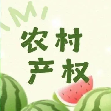 【农村集体经营性资产流转】石狮市锦尚镇港前村永祥路西侧运动馆招租项目