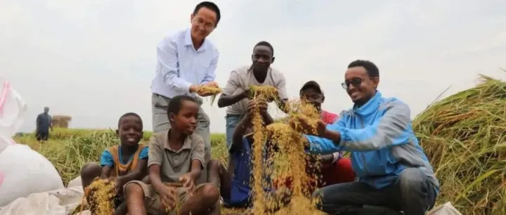 吴<em>迪</em>｜依附与非匀称性殷勤——中国、赞比亚的领导方式与<em>上下</em>级关系比较