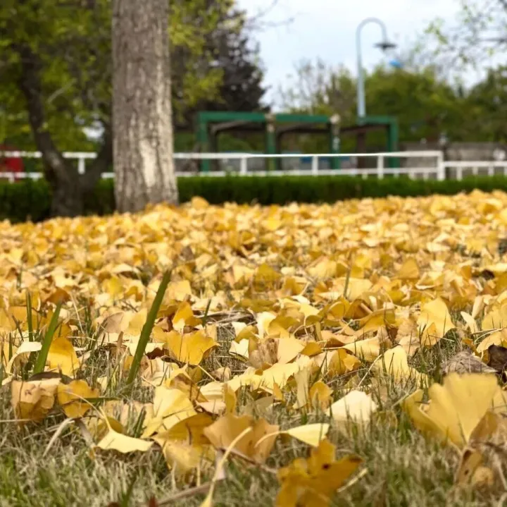 副刊丨通勤<em>路上</em>