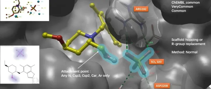模拟结晶缓冲液中硫酸根介导的氢键网络：一种提升补体因子B抑制剂活性的结构导向策略