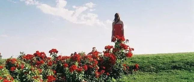 学会控制情绪，做一个幸福快乐的人