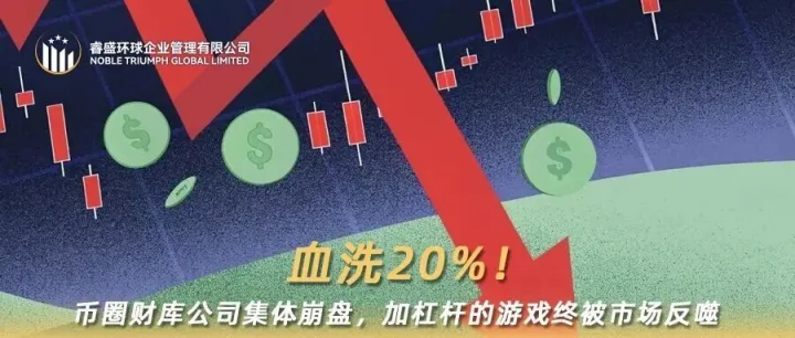 血洗 20%！币圈财库公司集体崩盘，加杠杆的游戏终被市场反噬
