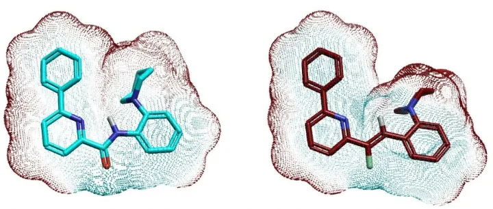 氟代烯烃作为酰胺的高效生物电子等排体