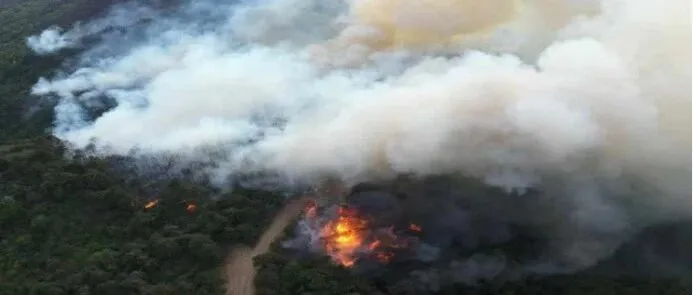 应急调度+自动巡防，大疆无人机智能防控森林火患