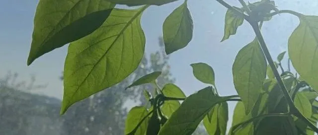 跨境电商TK如何0-1起步