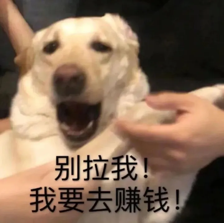 投资“<em>虚拟</em><em>币</em>”骗局