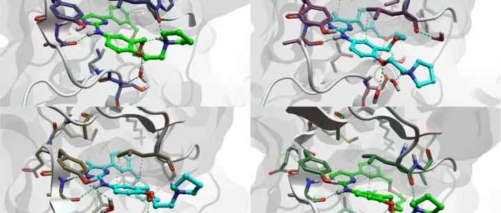 计算方法用于配体-蛋白质相互作用排序和结合亲和力预测——哪种方法适合您？