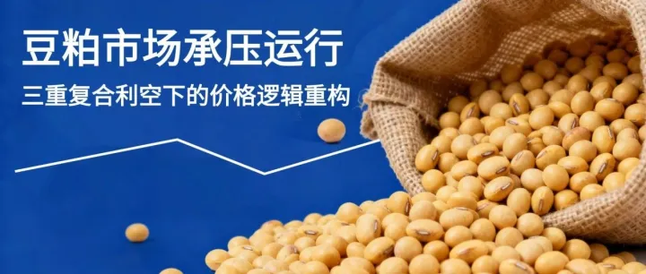 豆粕市场承压运行：三重复合利空下的价格逻辑重构