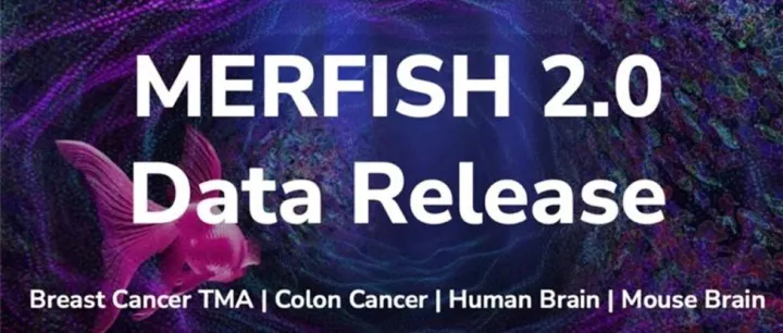 Vizgen发布最新MERFISH 2.0™数据集，以单分子灵敏度实现长期FFPE样本检测