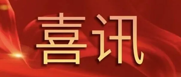 喜讯 | 双赛连捷！金宇信息科技集团在全国及全省数字技术职业技能竞赛中斩获佳绩